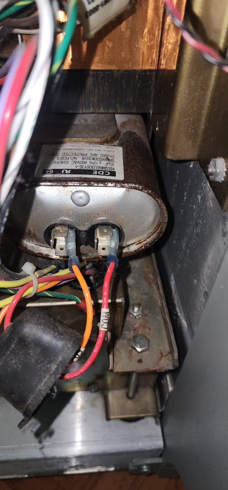 Diagnóstico y pruebas de ecógrafo por técnico especializado